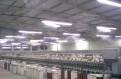 Industria Textil