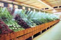 Agro